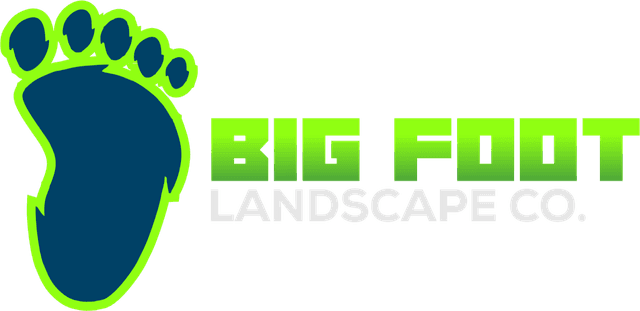 Big Foot Landscape